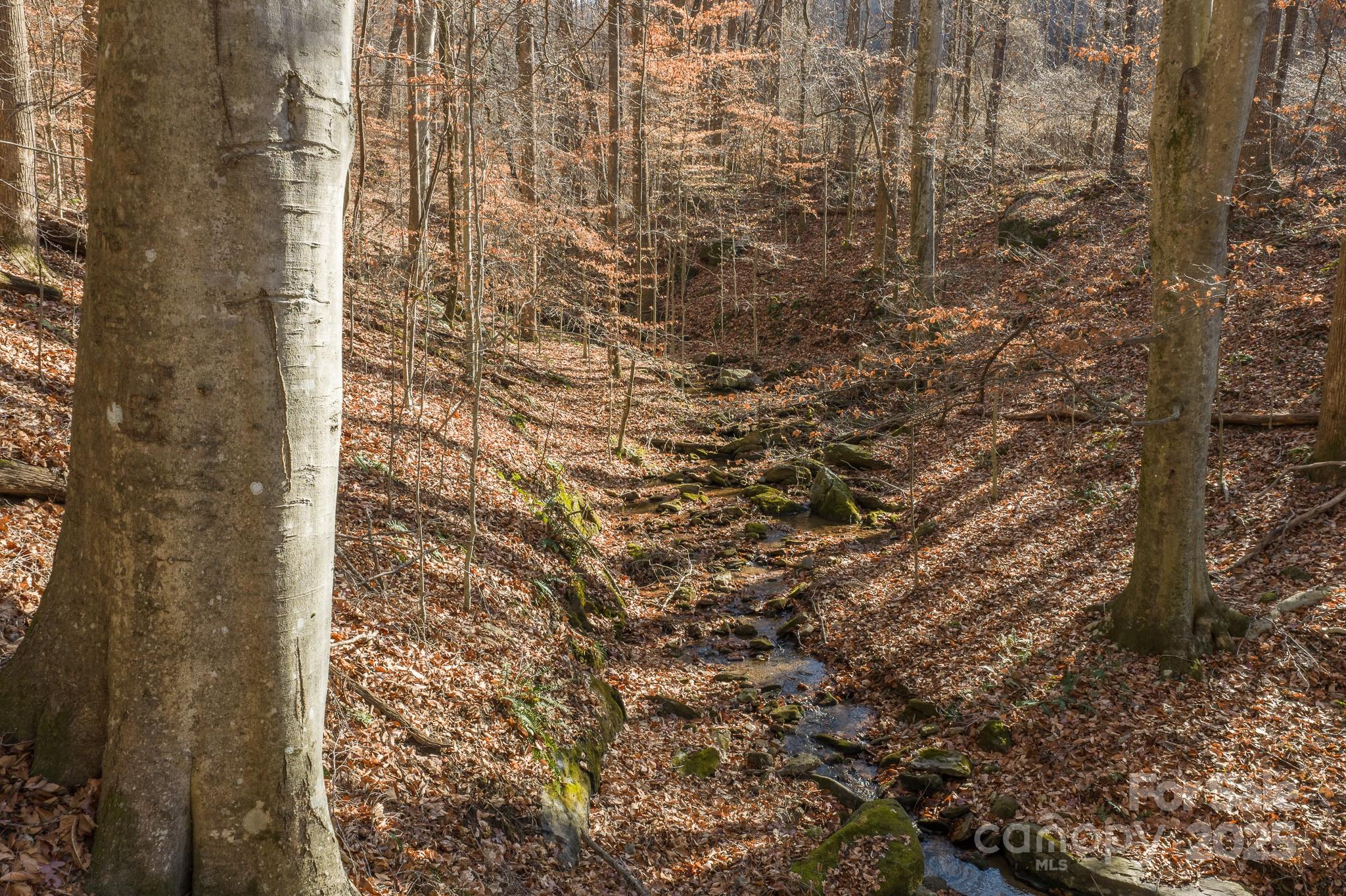 0 East Brocktown Road Moravian Falls, NC 28654 - Photo 3 of 31