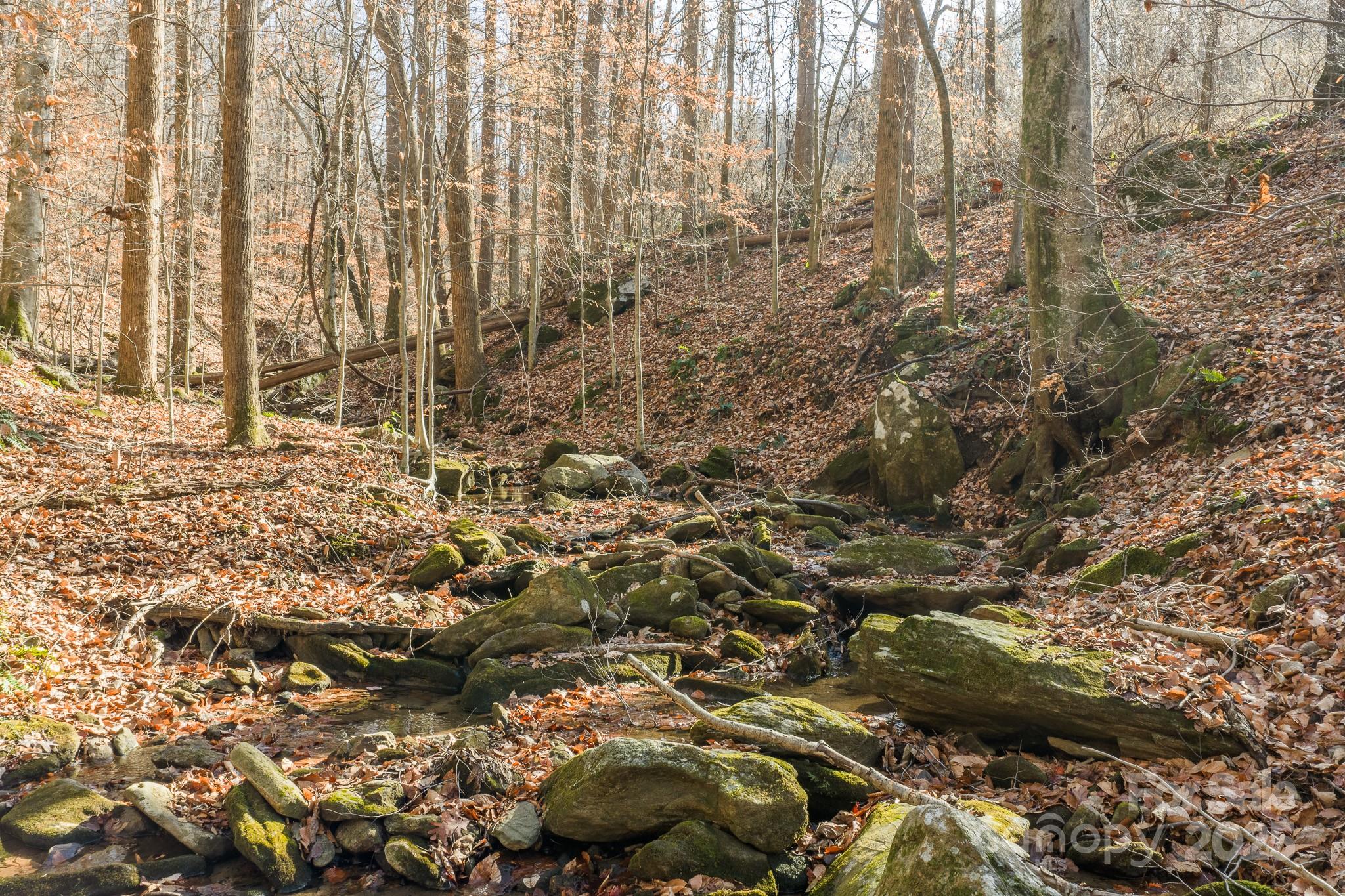 0 East Brocktown Road Moravian Falls, NC 28654 - Photo 4 of 31