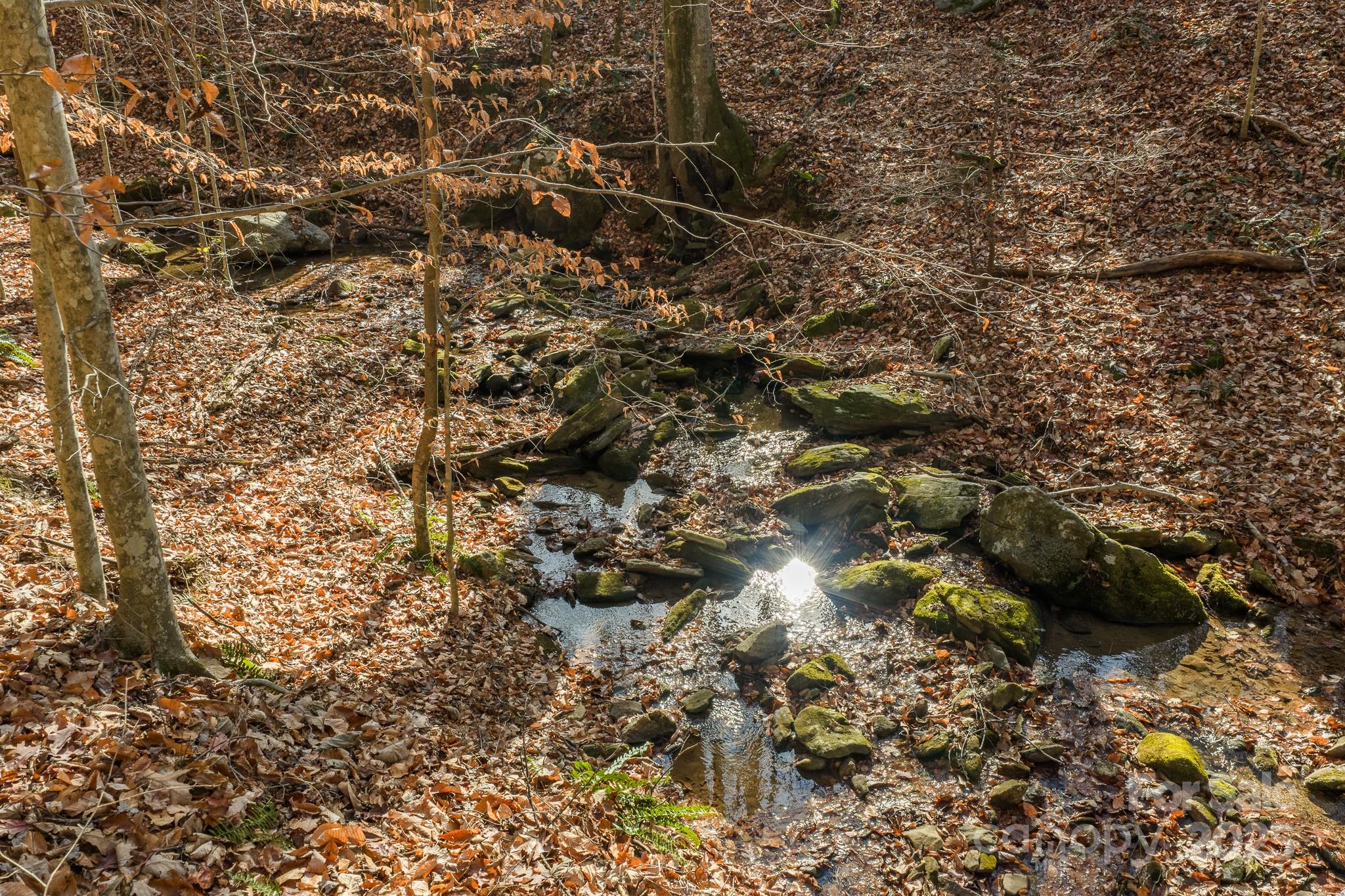 0 East Brocktown Road Moravian Falls, NC 28654 - Photo 6 of 31