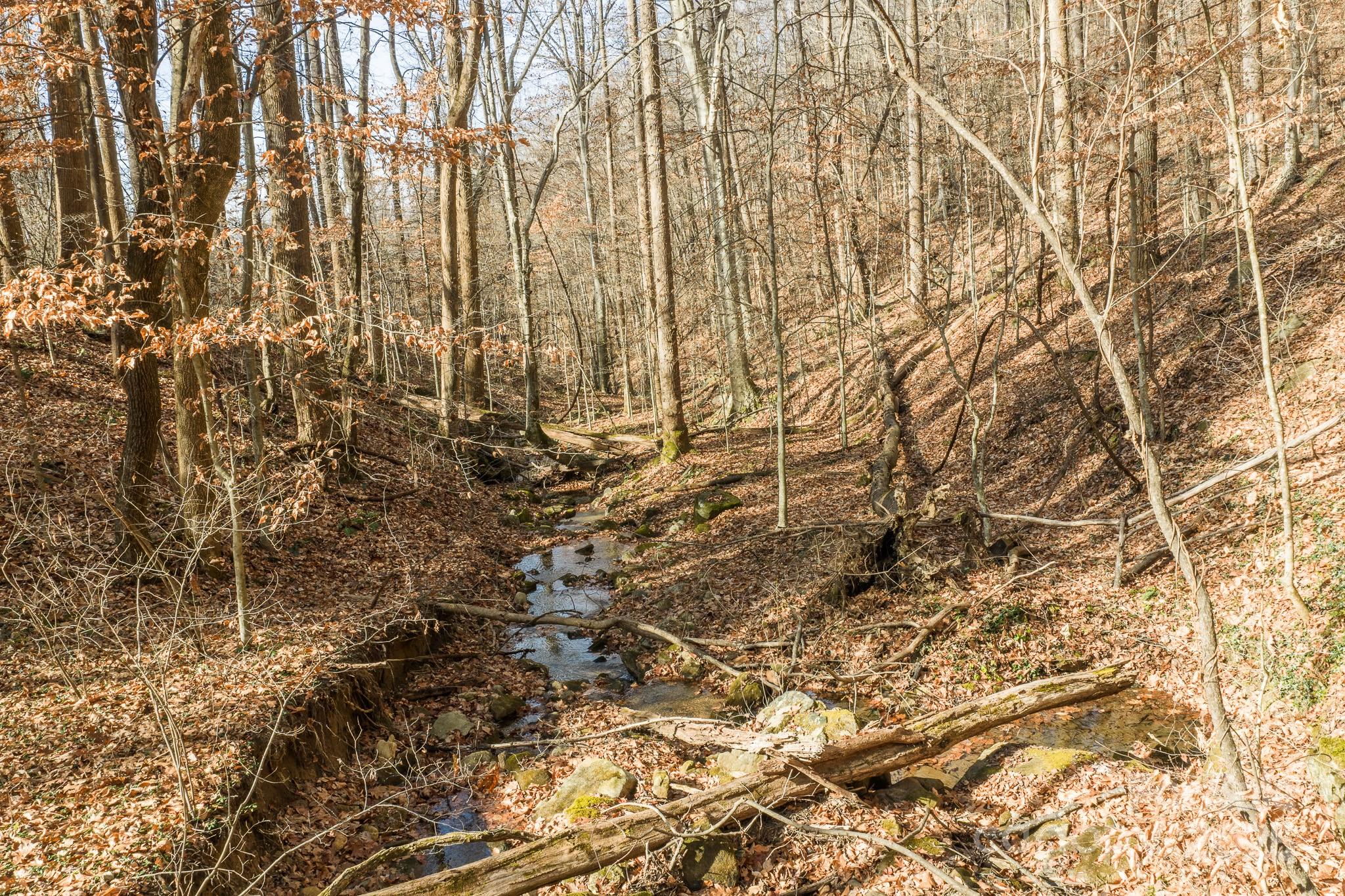 0 East Brocktown Road Moravian Falls, NC 28654 - Photo 7 of 31