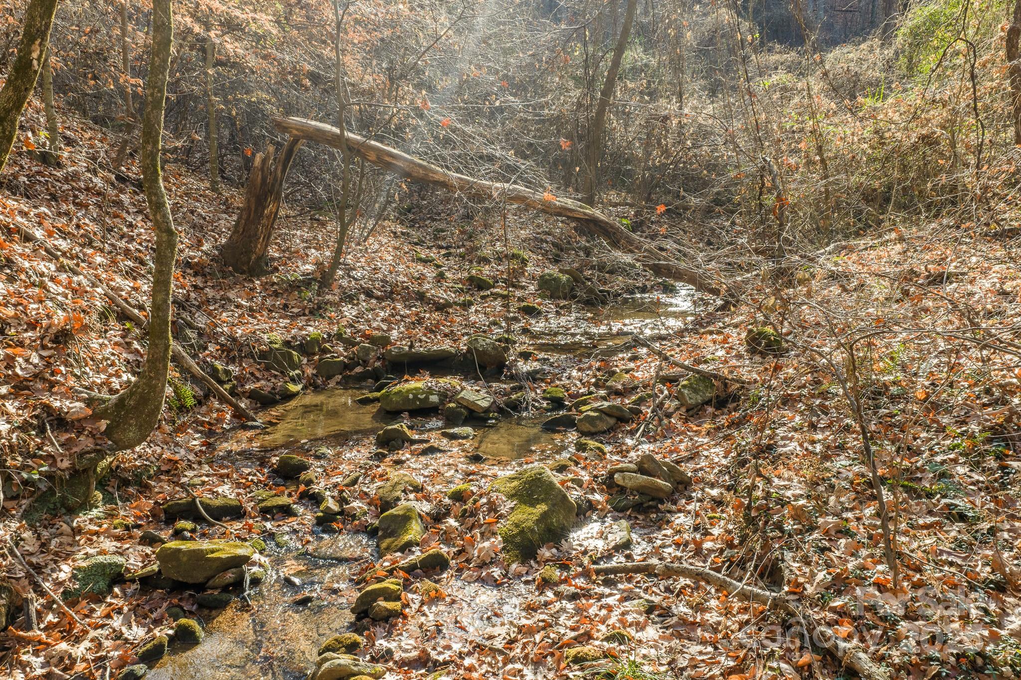 0 East Brocktown Road Moravian Falls, NC 28654 - Photo 10 of 31