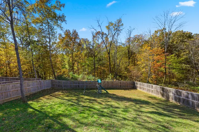 a view of under a large tree