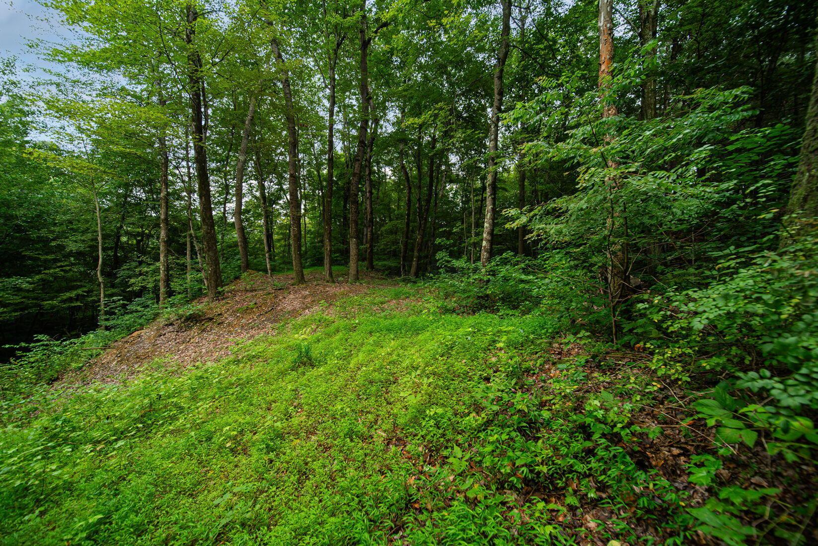 9758 Wesley Chapel Road Mount Perry, OH 43760 - Photo 14 of 43 13-web-or-mls-Todd Burns - 9758 Wesley C