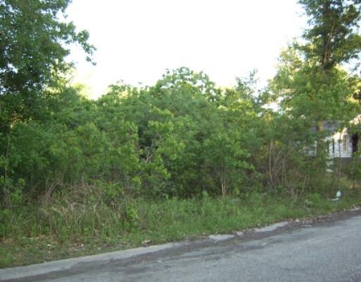 Lot 101 Lot Boulevard Moss Point, MS 39563 - Photo 5 of 5 Additional Photo
