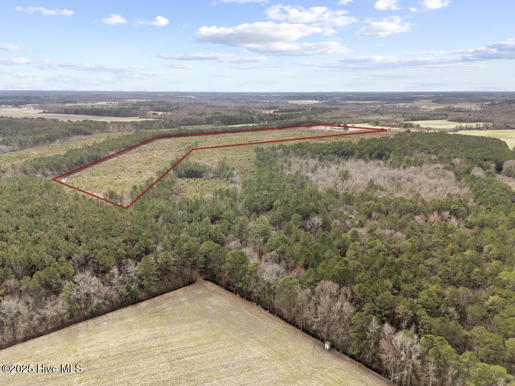 2455 East Darden Road Faison, NC 28341 - Photo 14 of 18 DJI_20250307120945_0601_D copy