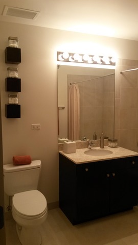 235 West Van Buren Street, Unit 3620 Chicago, IL 60607 - Photo 3 of 12 a bathroom with a sink toilet and a mirror