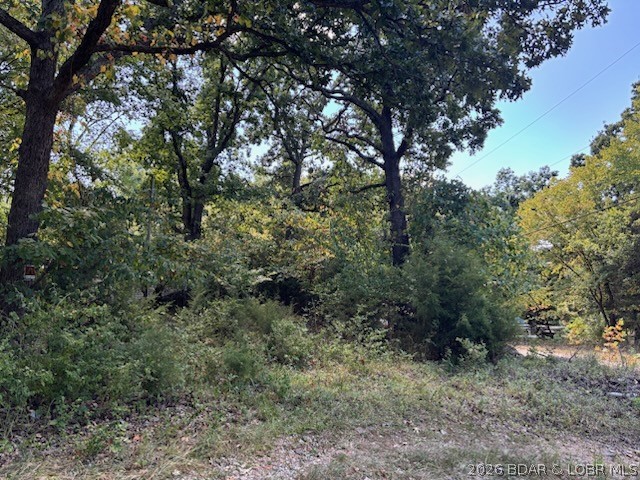1037 Estate Road Osage Beach, MO 65065 - Photo 10 of 11 Gallery Image 10