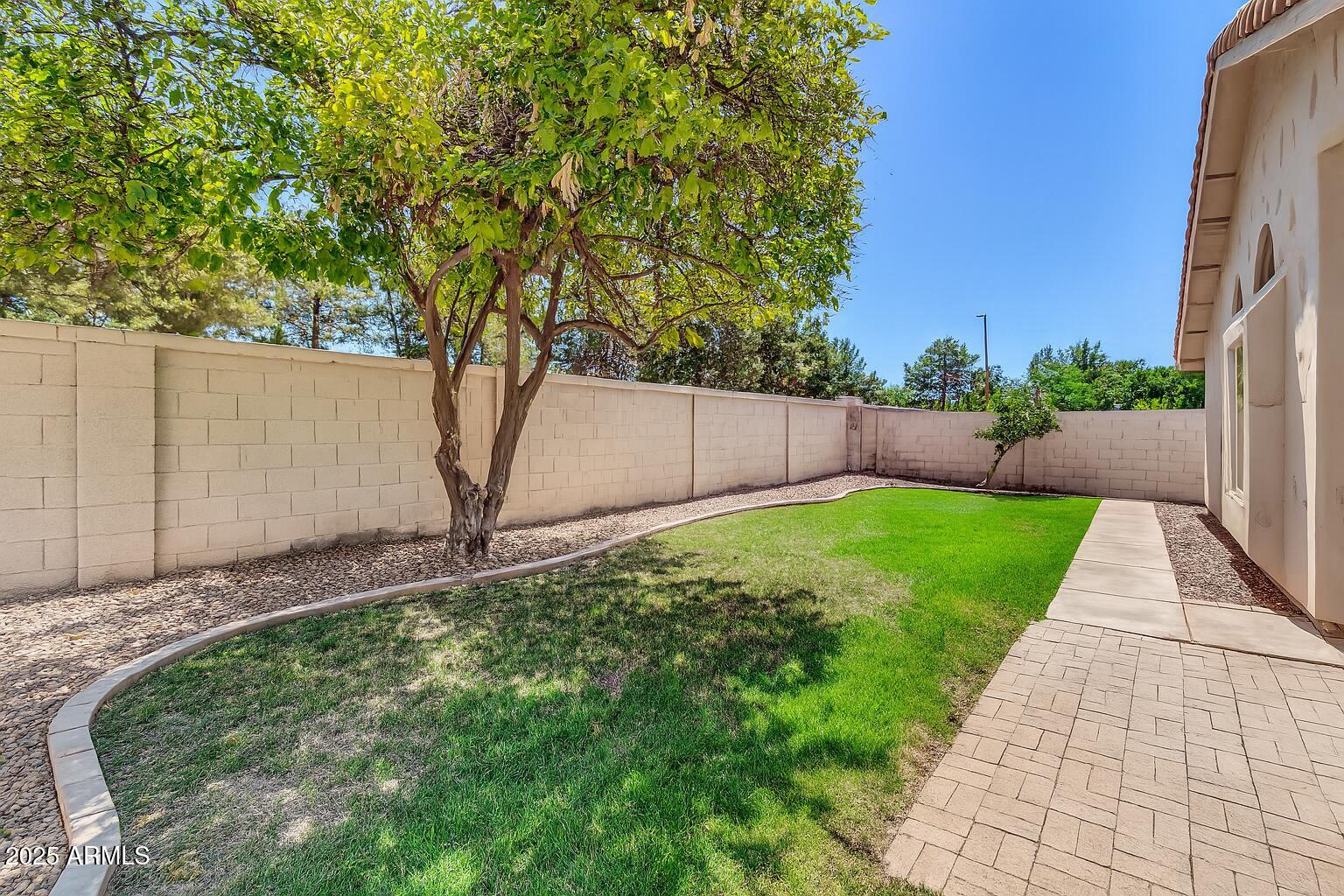 1511 West Wildhorse Court Chandler, AZ 85286 - Photo 24 of 31 a view of a backyard with a tree