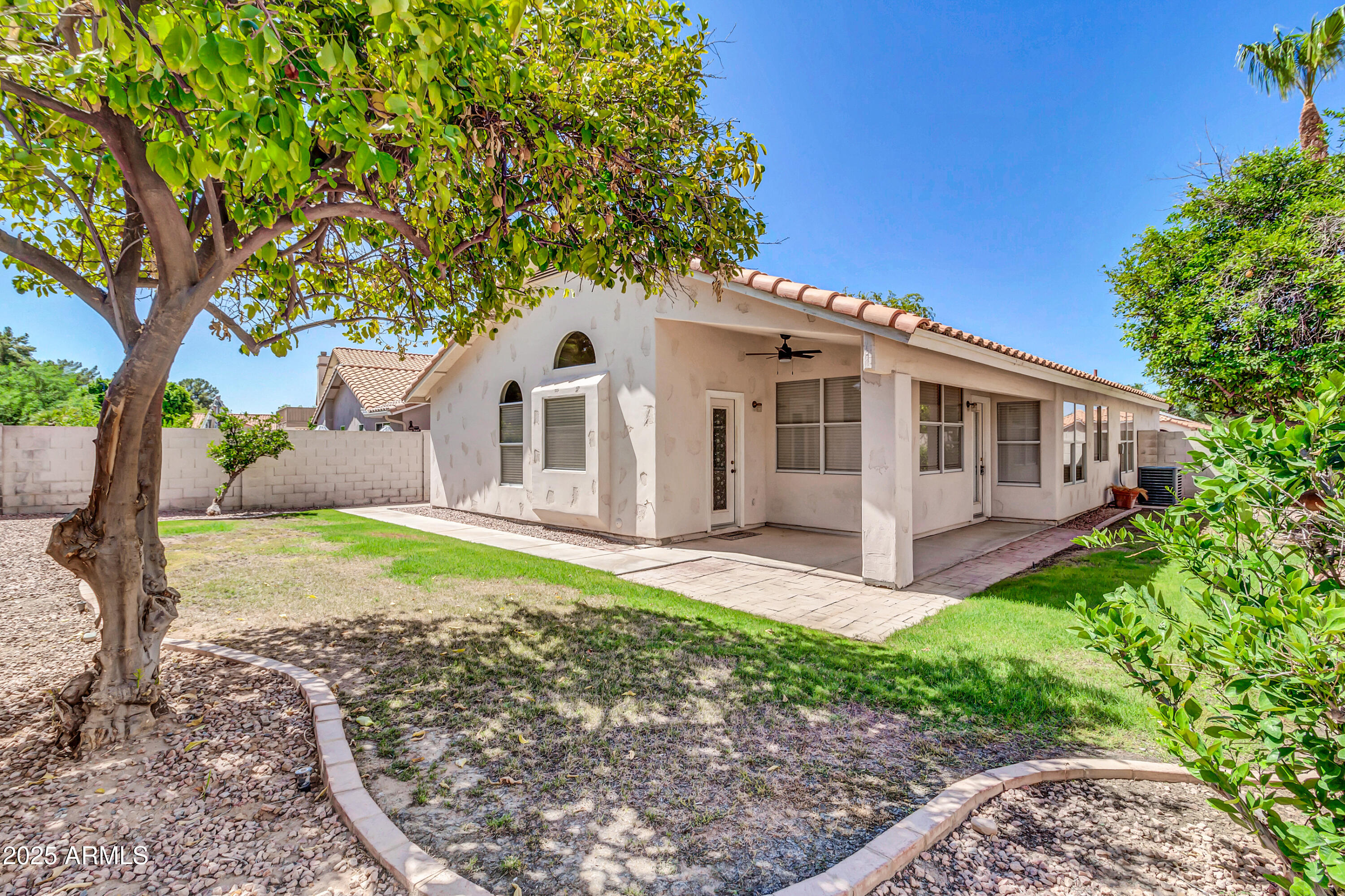 1511 West Wildhorse Court Chandler, AZ 85286 - Photo 25 of 31 a view of a house with backyard and trees