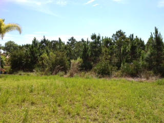 5752 Spanish River Road Fort Pierce, FL 34951 - Photo 27 of 42 backyard spanish river