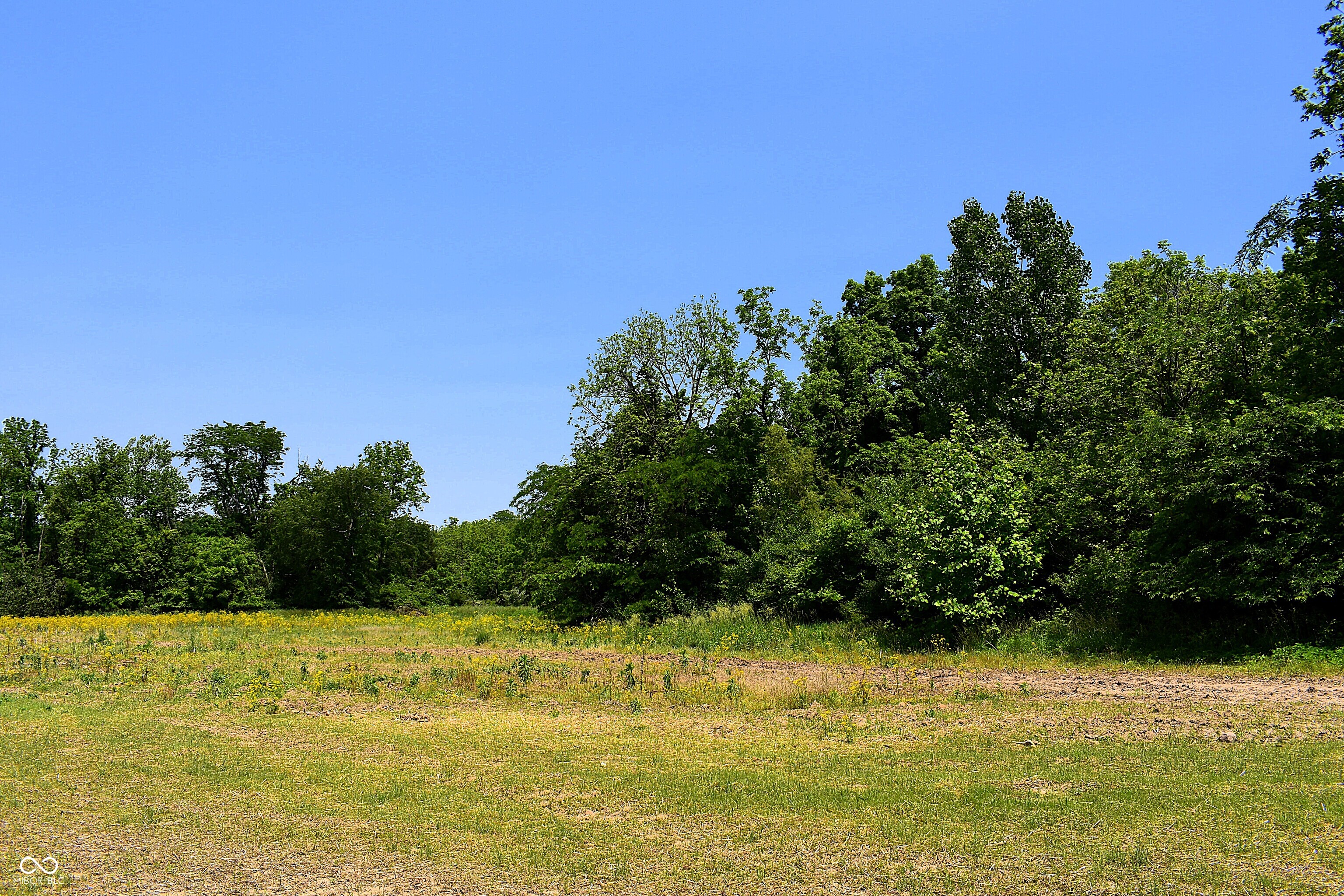 Lot 2 Whitetail Ridge Mooresville, IN 46158 - Photo 6 of 8