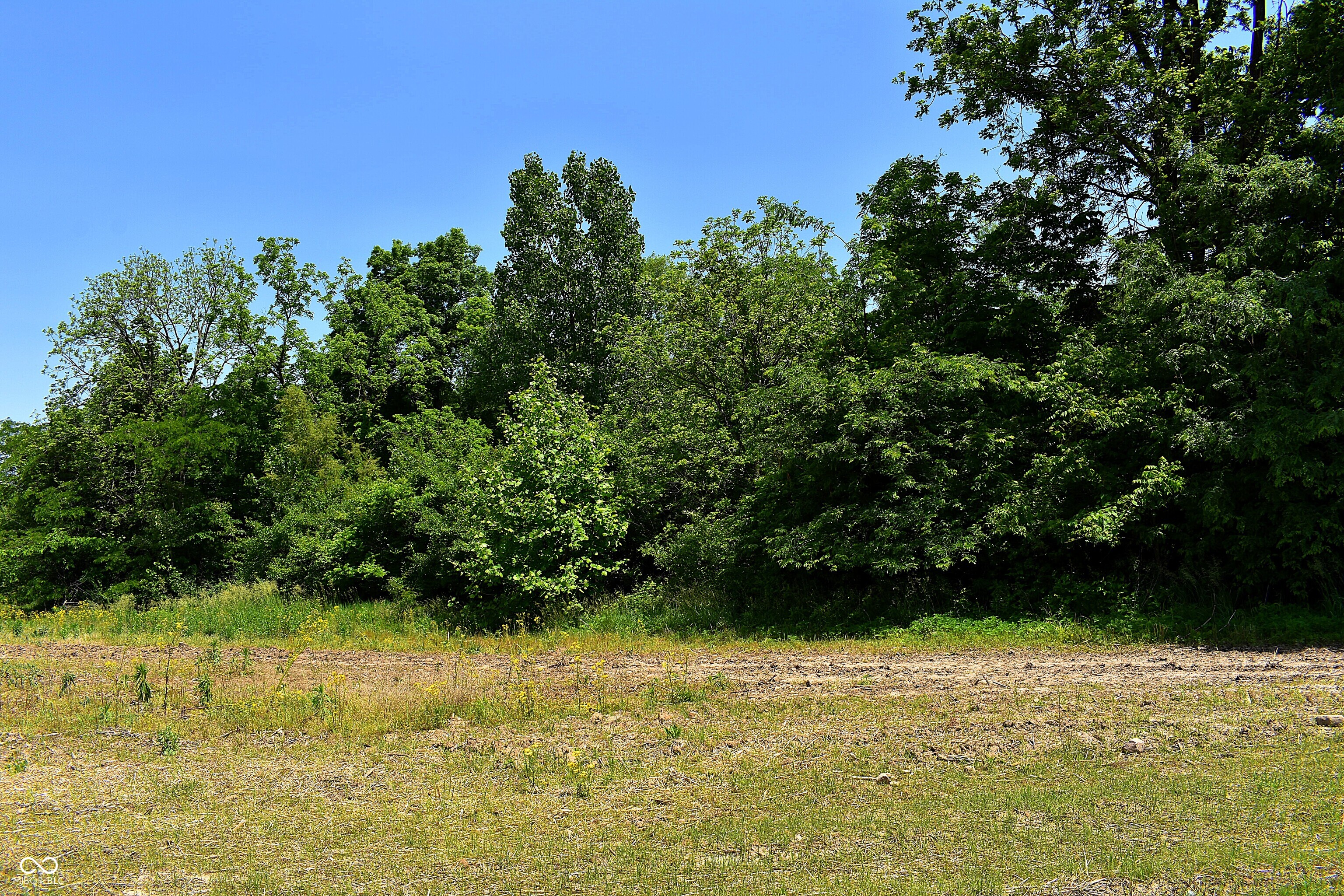Lot 2 Whitetail Ridge Mooresville, IN 46158 - Photo 8 of 8