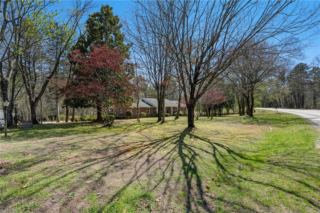 480 Blanch Road Blanch, NC 27212 - Photo 2 of 50