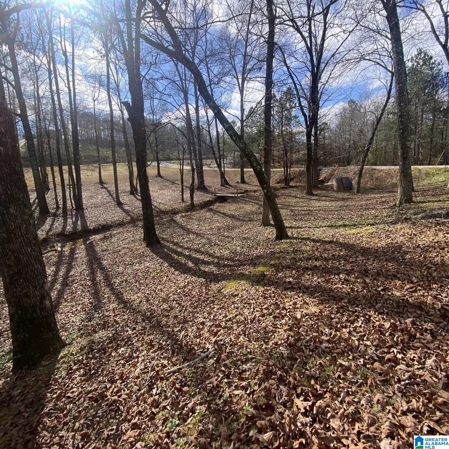 60 Bailey Way Hayden, AL 35079 - Photo 2 of 17