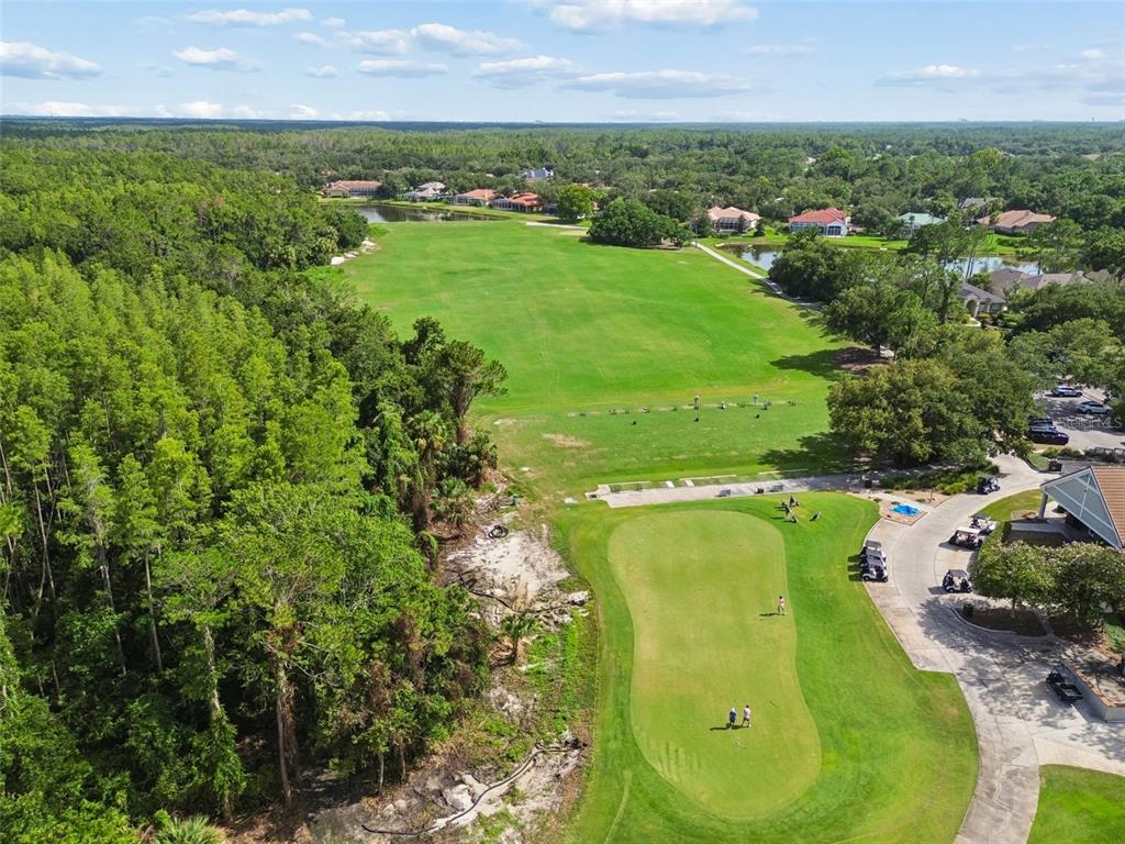 17708 Long Ridge Road Tampa, FL 33647 - Photo 88 of 100 Gallery Image 88