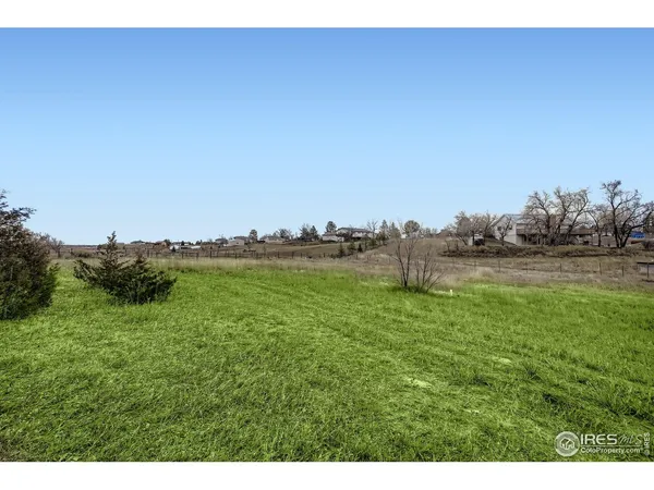 a view of a large garden