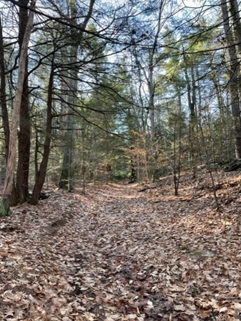 0 West State Road Ashby, MA 01431 - Photo 3 of 4 Gallery Image 3