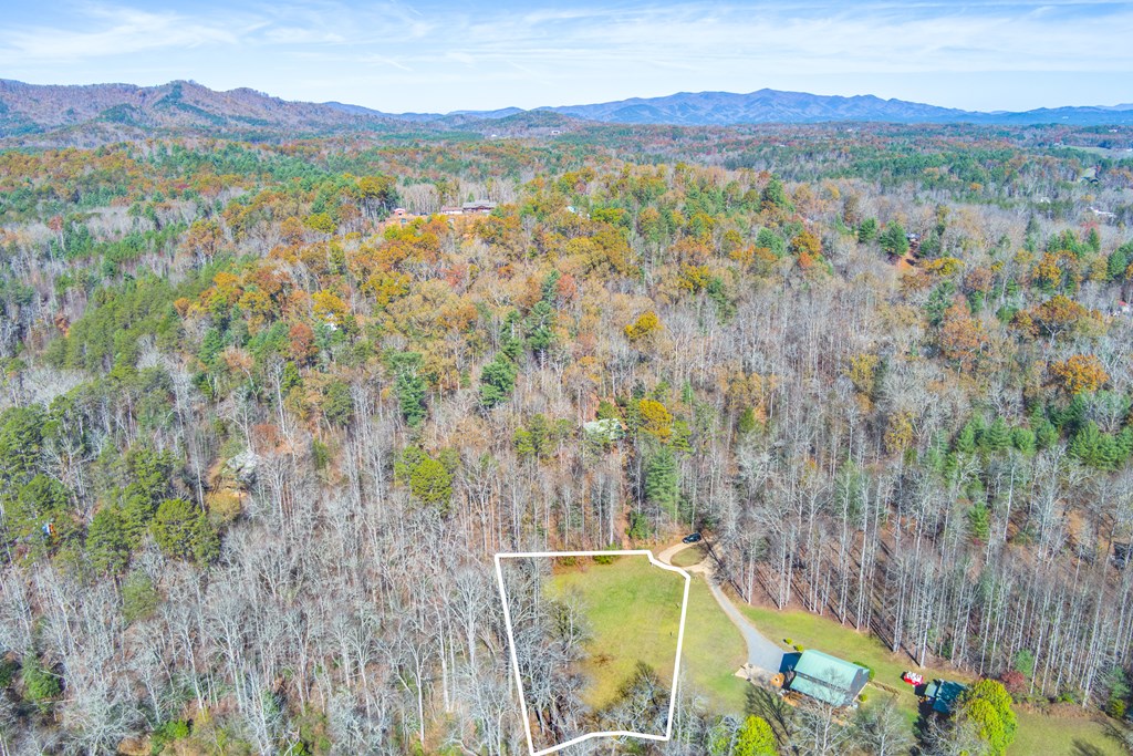 0 Pine Grove Blue Ridge, GA 30513 - Photo 9 of 23 Gallery Image 9