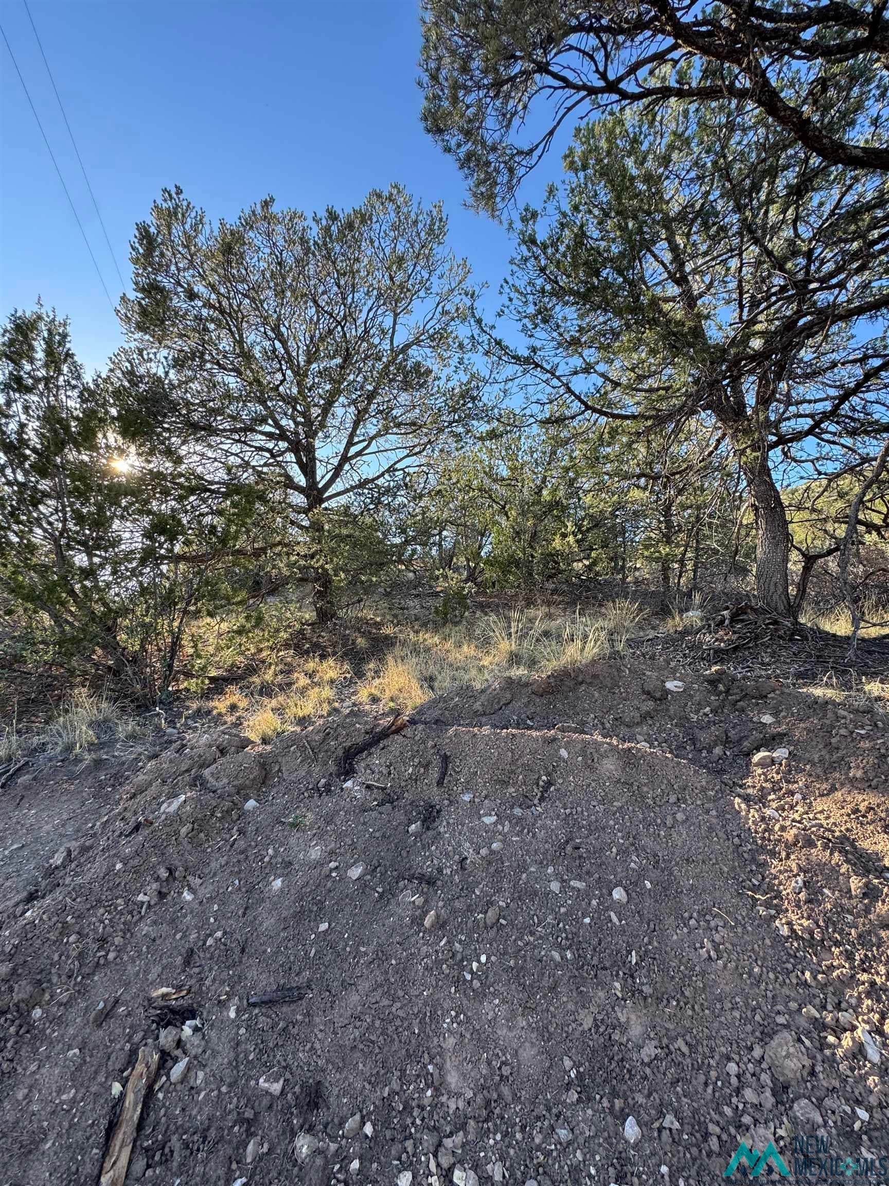 Lot 80 Longfellow Road Timberon, NM 88350 - Photo 5 of 7 View of nature