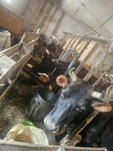 $195,000 | 75 Doucette Road, Grand Isle, ME 04746