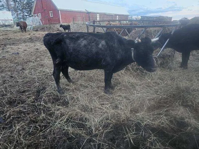 $195,000 | 75 Doucette Road, Grand Isle, ME 04746