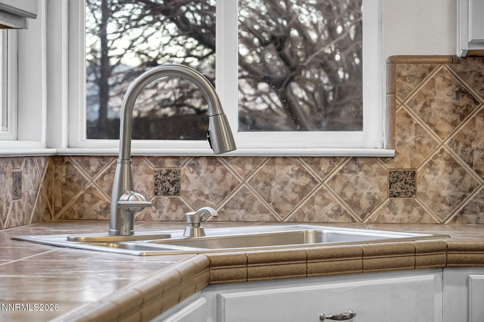 20 Tanea Court Reno, NV 89511 - Photo 6 of 75 10ac