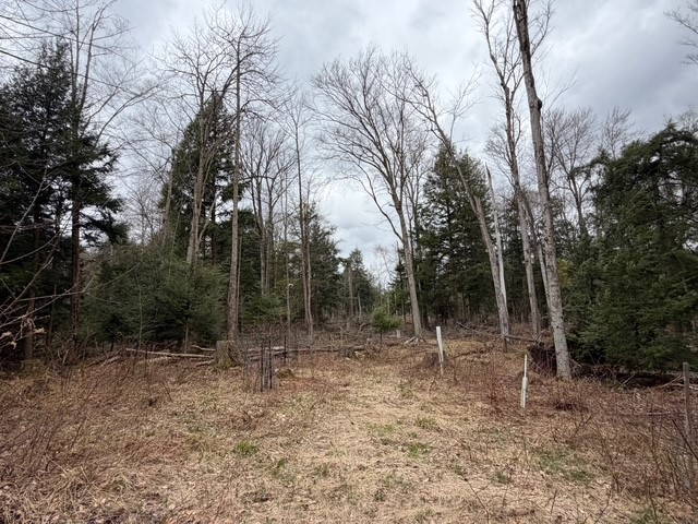 Pritchard Road Springville, NY 14141 - Photo 11 of 23