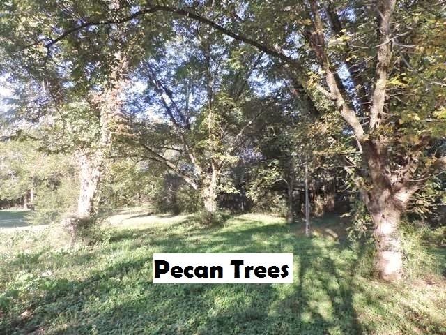 480 Tokeena Road Seneca, SC 29678 - Photo 23 of 29 Gallery Image 23