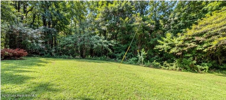 15847 Hamlet Mill Road Daviston, AL 36256 - Photo 6 of 6 Gallery Image 6