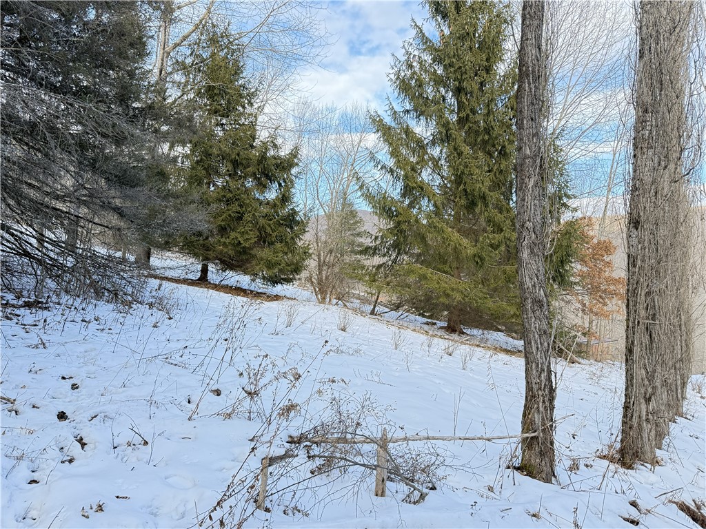 2165 Red Kill Road Fleischmanns, NY 12430 - Photo 44 of 48 view from side of shed