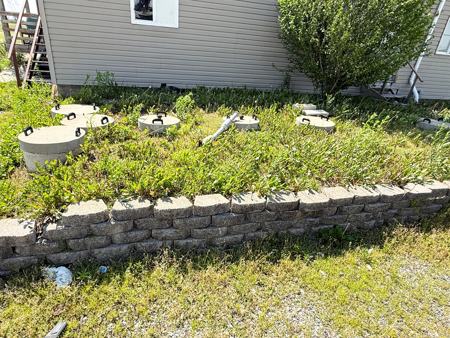 5991 Kinmundy Road Louisville, IL 62858 - Photo 10 of 12 a view of a backyard with plants