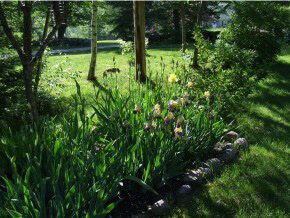170 Shepherds River Road Brownfield, ME 04010 - Photo 6 of 34 Gallery Image 6