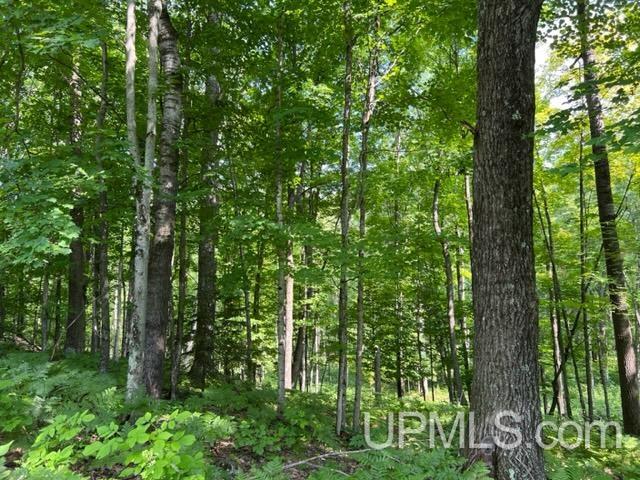 T-wi Birch Hill Road Amberg, WI 54102 - Photo 18 of 21