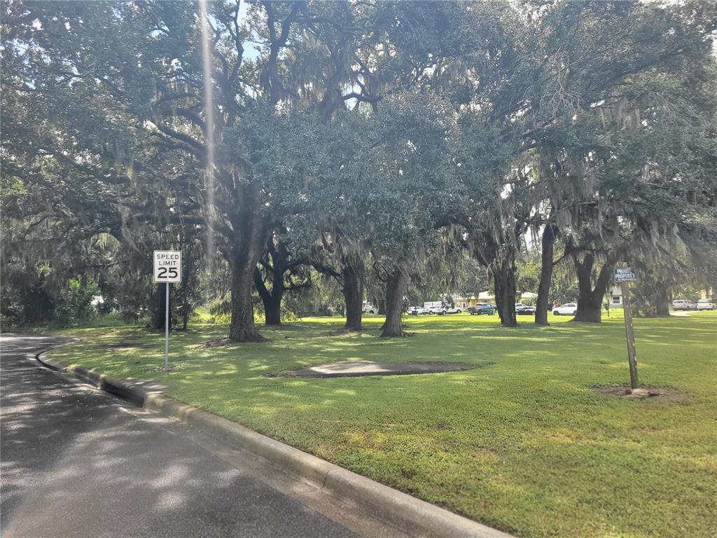 188 Mary Street Winter Garden, FL 34787 - Photo 19 of 35 a view of a park with large trees