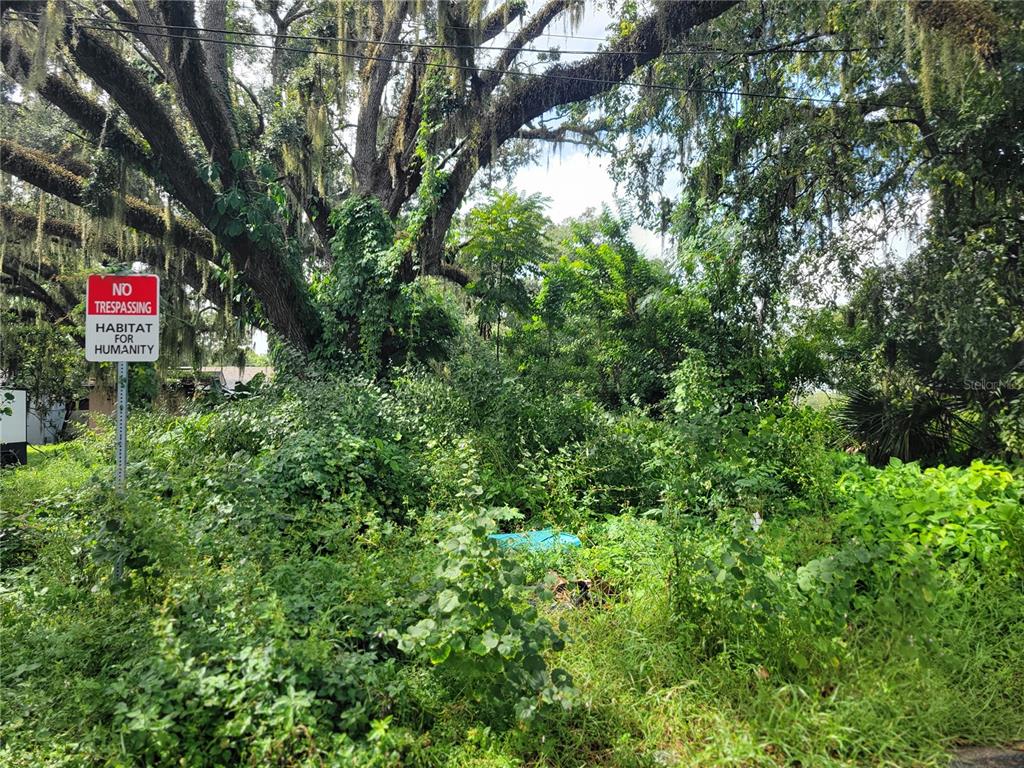 188 Mary Street Winter Garden, FL 34787 - Photo 24 of 35 an outdoor space with lots of trees
