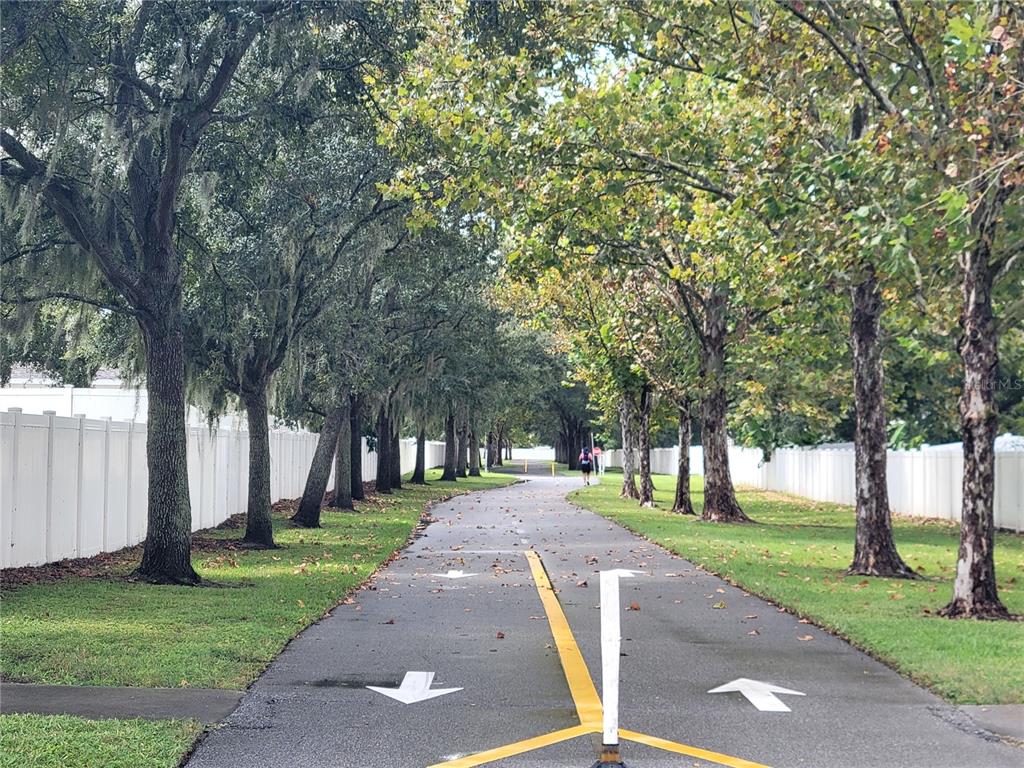 188 Mary Street Winter Garden, FL 34787 - Photo 30 of 35 a street view with large trees