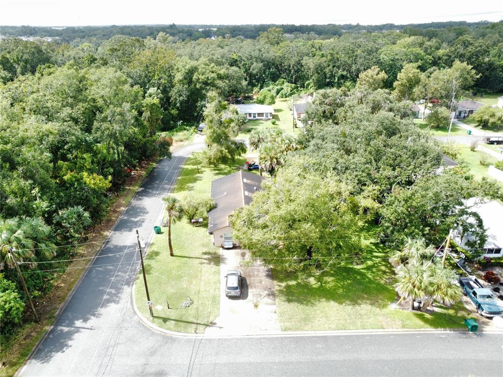 188 Mary Street Winter Garden, FL 34787 - Photo 8 of 35 a view of a plant in a garden