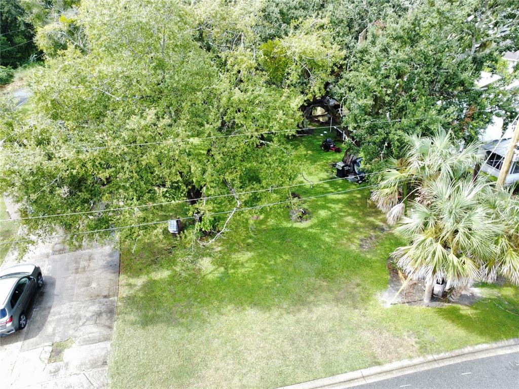 188 Mary Street Winter Garden, FL 34787 - Photo 10 of 35 a view of a yard