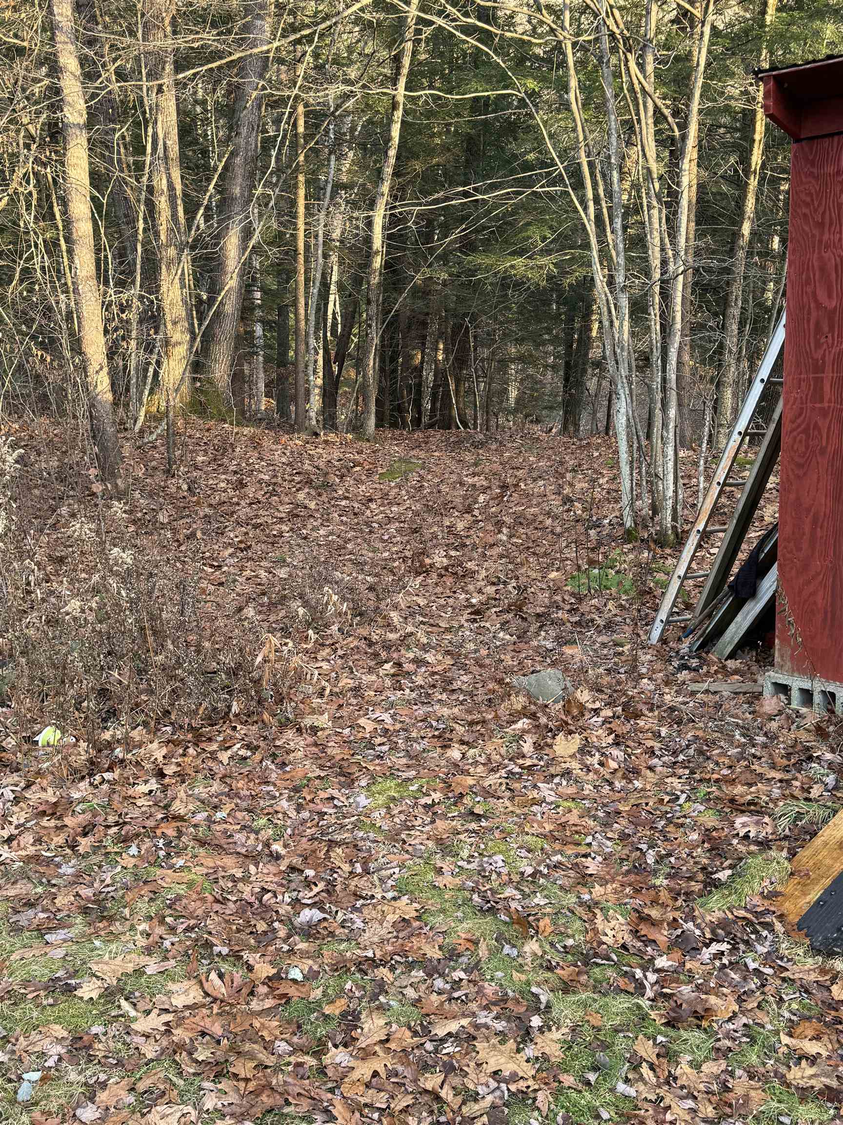 31 Valley Road Brattleboro, VT 05301 - Photo 7 of 8 Gallery Image 7