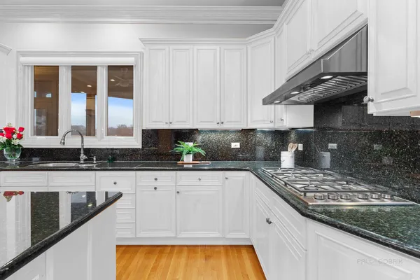 $1,200,000 | 1611 Burr Oak Drive, Libertyville, IL 60048