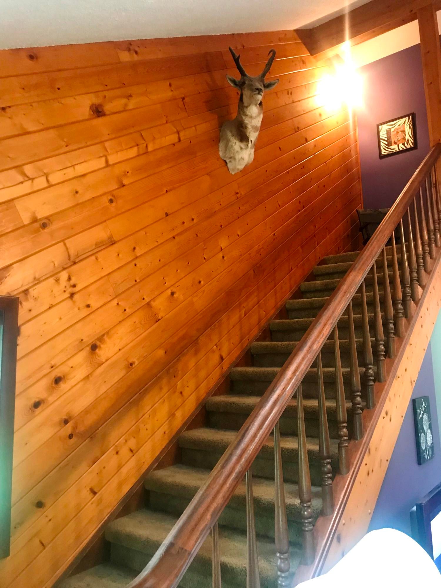 8731 West Beaver Road Grayling, MI 49738 - Photo 18 of 52 Gallery Image 18