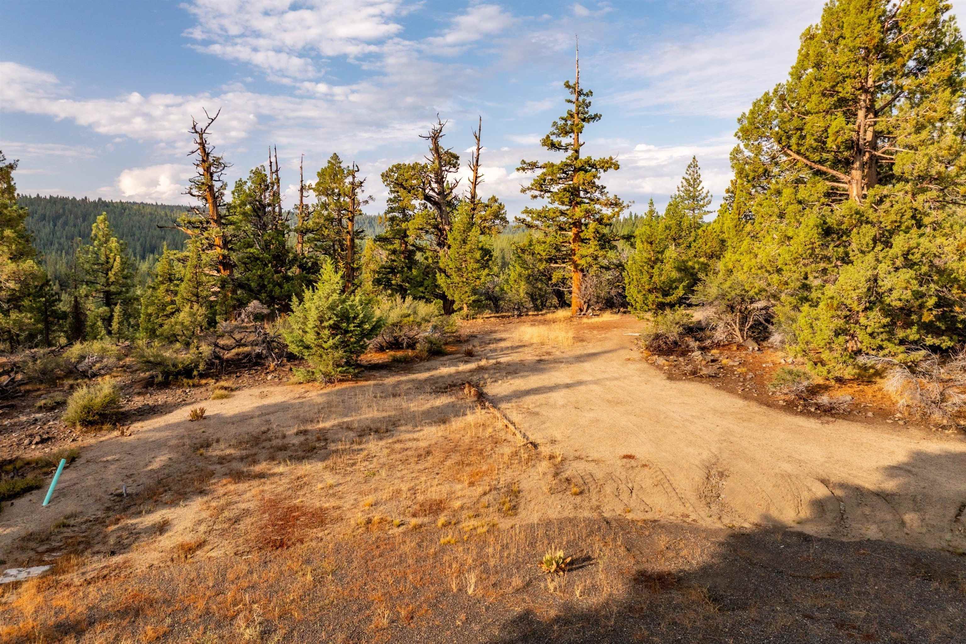 17545 Close Call Ridge Truckee, CA 96161 - Photo 10 of 28