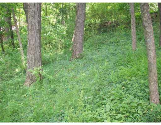 576 Highland Road Chelsea, MI 48118 - Photo 19 of 24 Photo 19