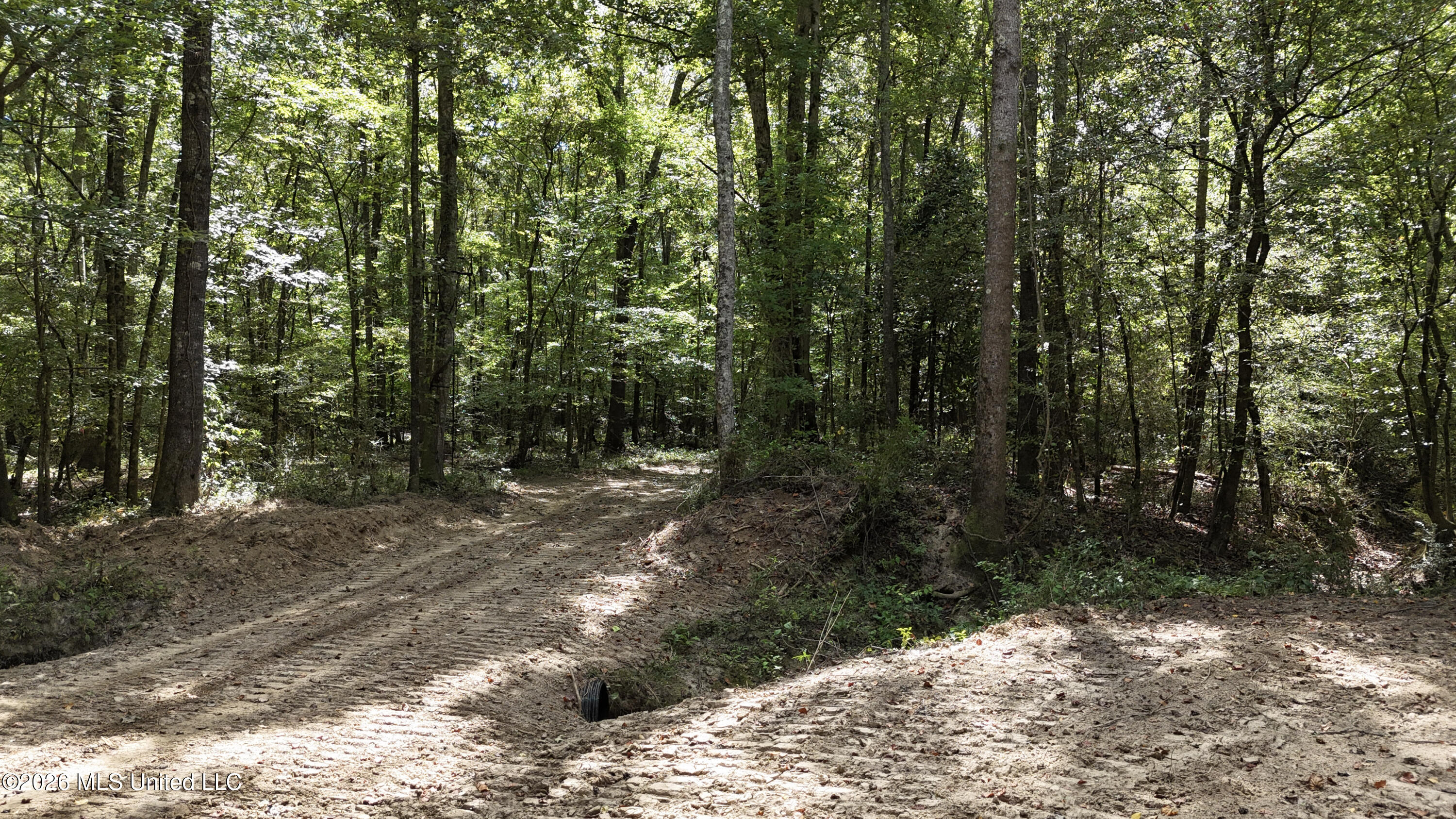 Shiloh Road Brandon, MS 39042 - Photo 5 of 127 6-DJI_20260901114139_0119_D
