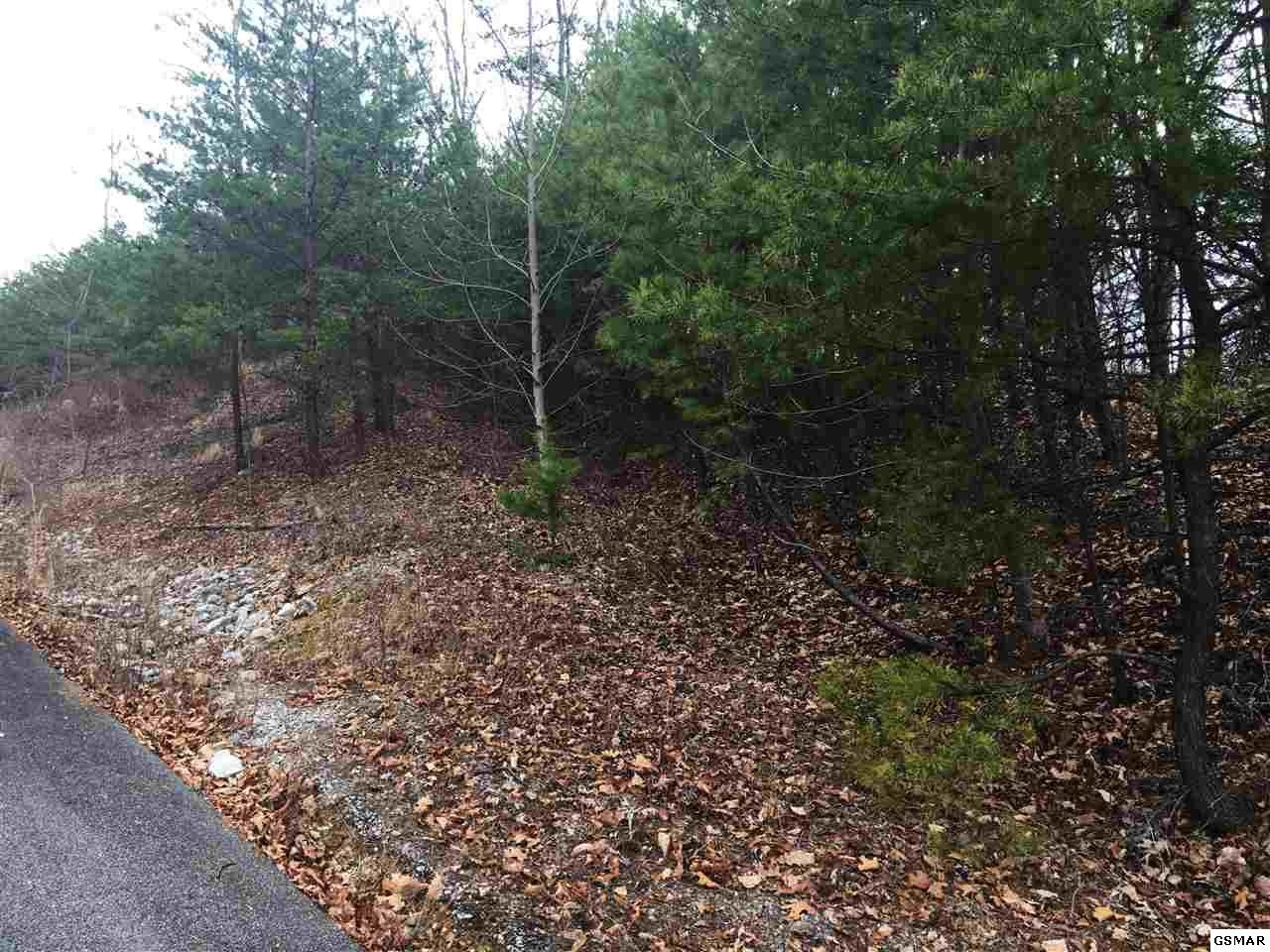 7 Stackstone Road Sevierville, TN 37862 - Photo 6 of 10