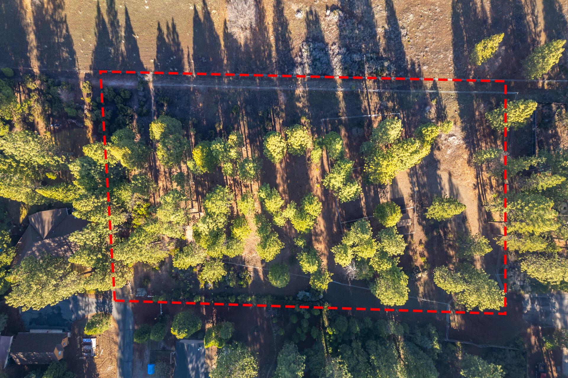 Serpentine Lane Burney, CA 96013 - Photo 12 of 13 DJI_0403-HDR