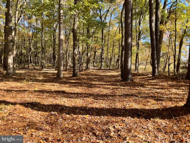 a view of outdoor space with deck