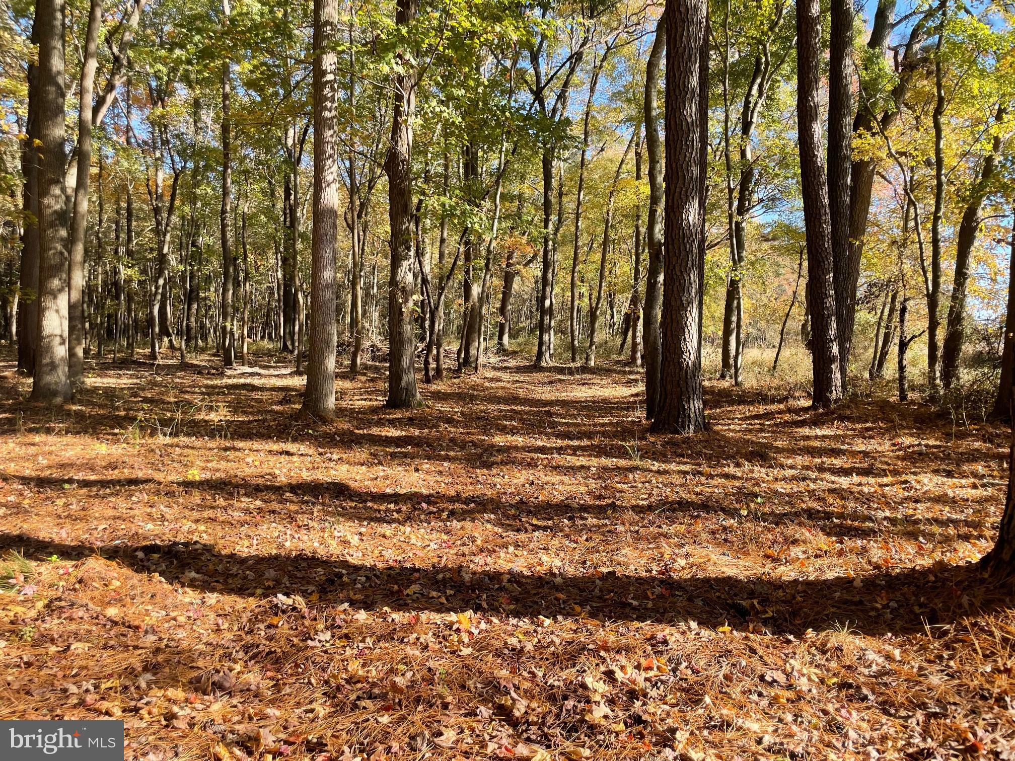 5051 Wayman Road Marion Station, MD 21838 - Photo 3 of 13 a view of outdoor space with deck