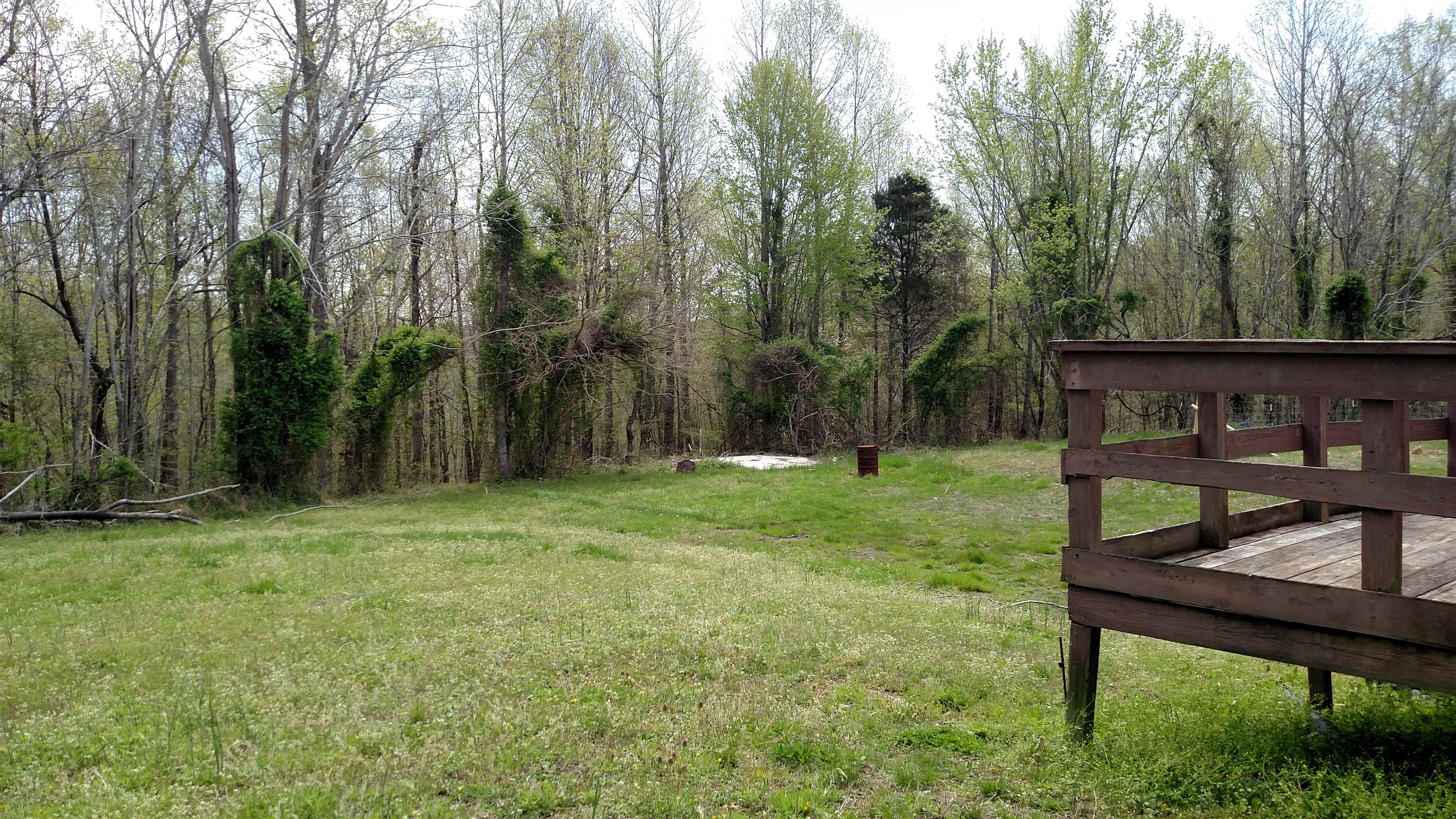 1776 Stacey Road Smithville, TN 37166 - Photo 6 of 7 back yard with deck