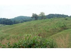13 A Headtown Road Jonesborough, TN 37659 - Photo 1 of 1 Photo 1